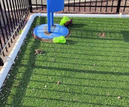 Airport Plaza Dog Park
