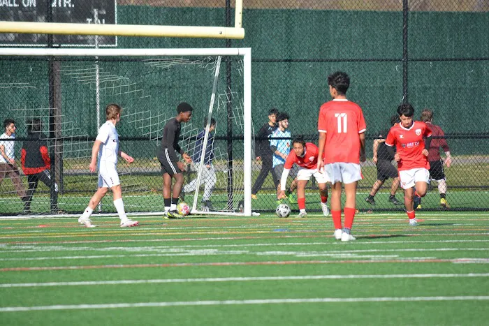 Allen Park - Farmingdale Picture 6