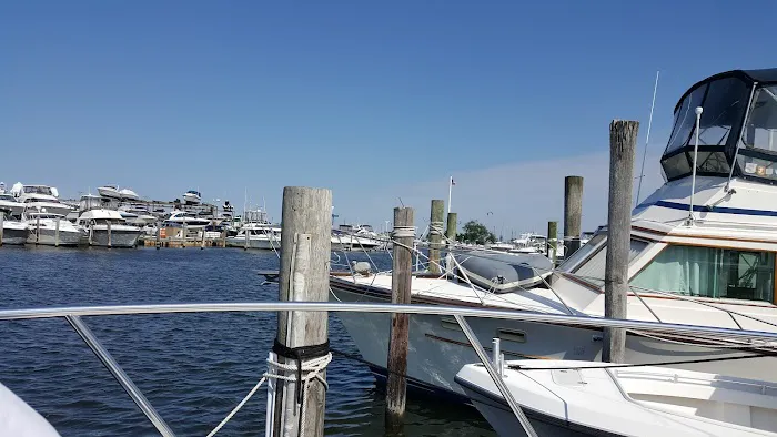 Venetian Shores Park Picture 7