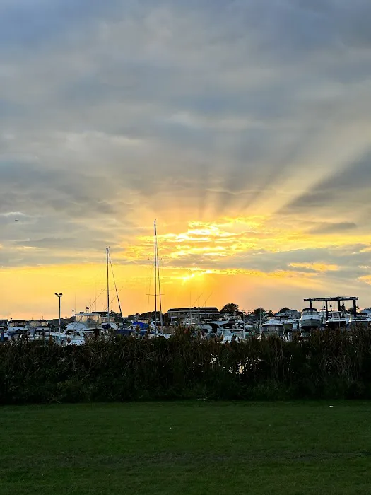 Venetian Shores Park Picture 6