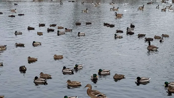 Lindenhurst Village Park Picture 8