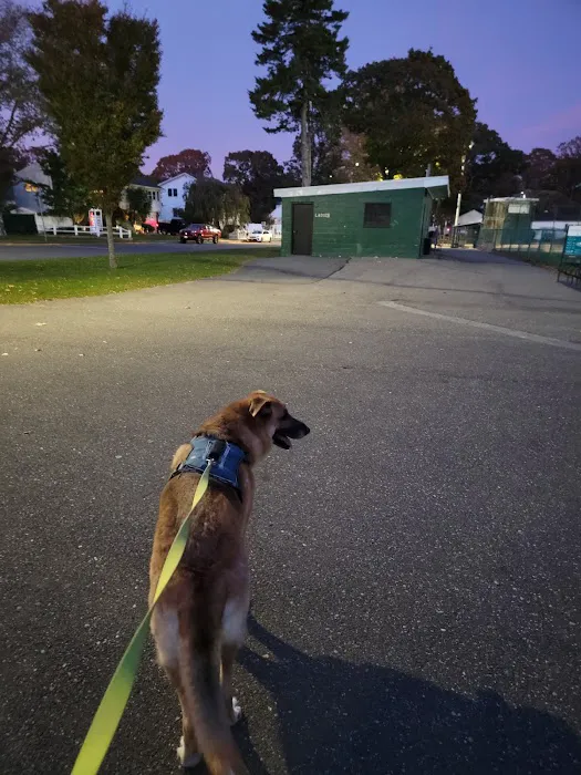 Lindenhurst Village Park Picture 5