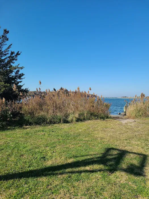 Satterly Landing Park Picture 1