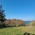 Satterly Landing Park