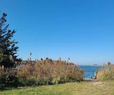 Satterly Landing Park