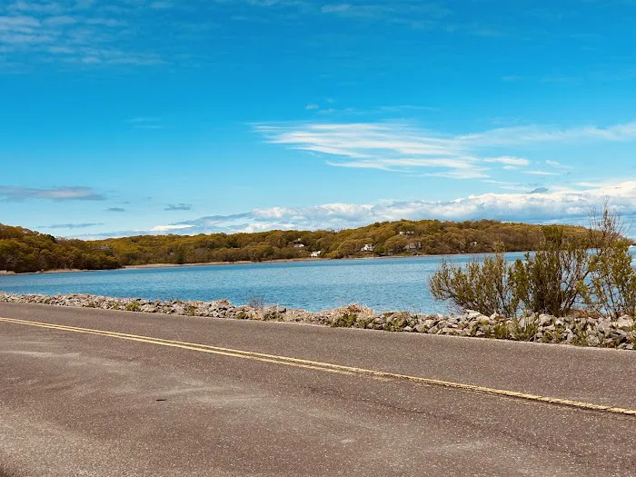 Satterly Landing Park Picture 10