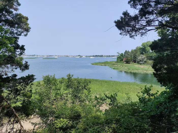Chandler Preserve Picture 1
