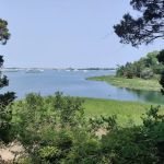 Chandler Preserve