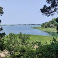 Chandler Preserve ico