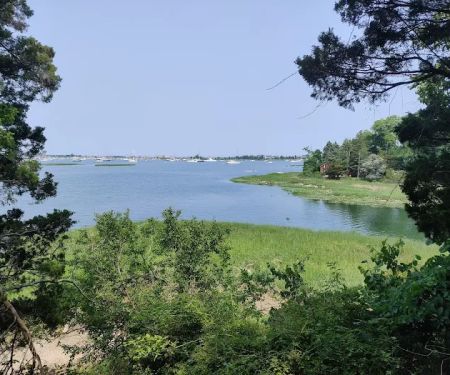 Chandler Preserve