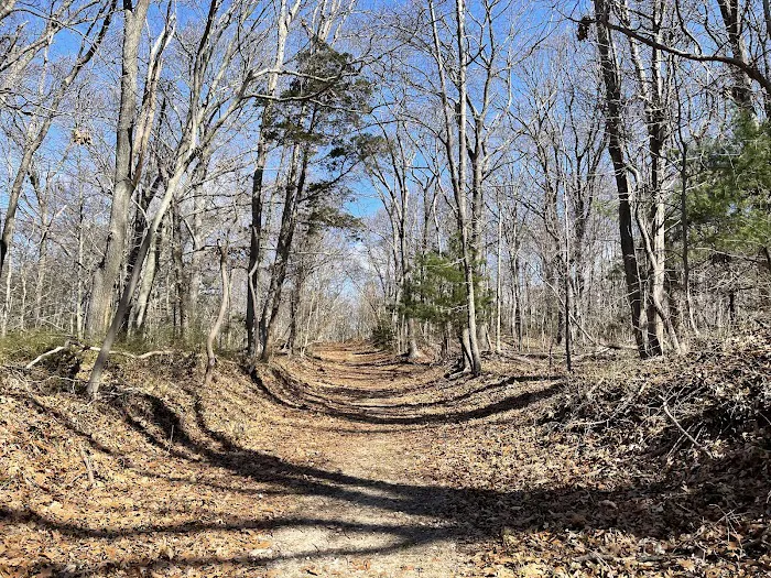 Chandler Preserve Picture 2