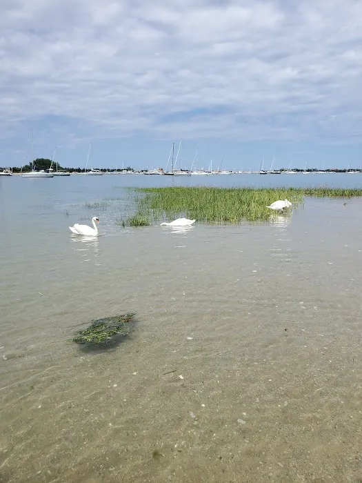 Russell Island Picture 3