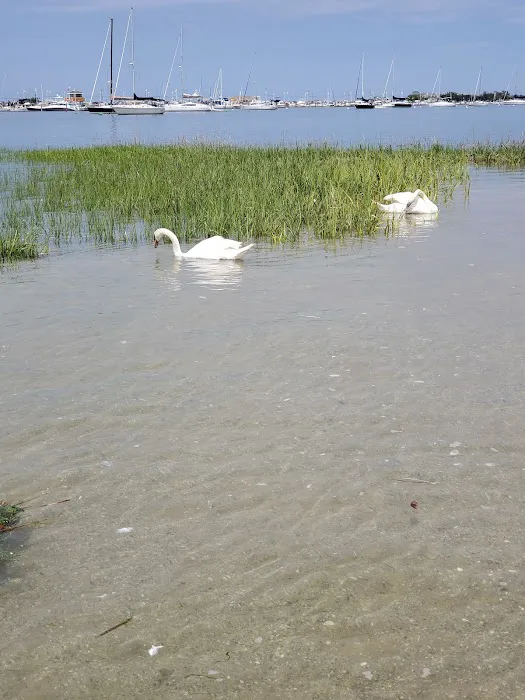 Russell Island Picture 4