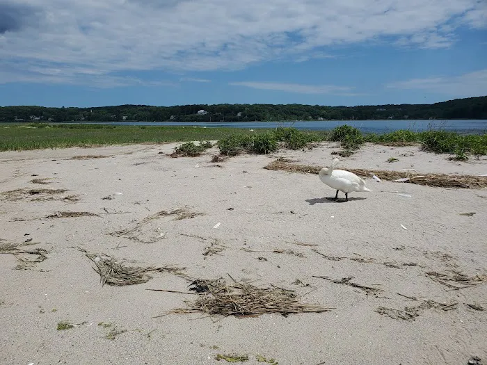 Russell Island Picture 5