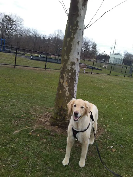 Sylvan Ave Park Picture 3