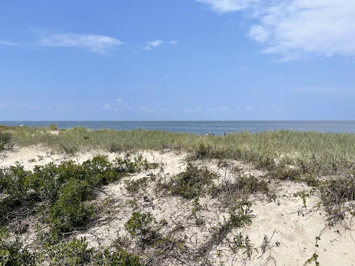 Cedar Beach Nature Center Picture 5