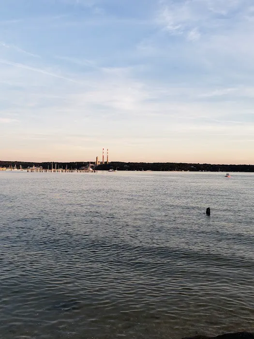 Cedar Beach Nature Center Picture 6