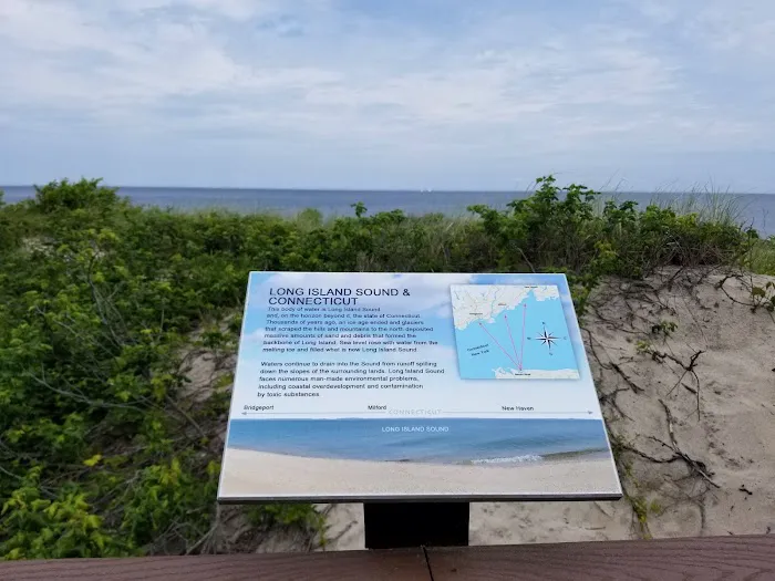 Cedar Beach Nature Center Picture 10