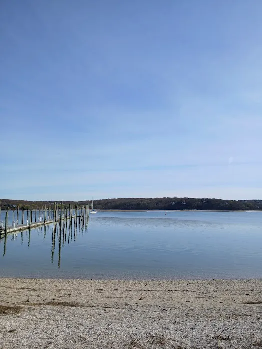 Cedar Beach Town Nature Preserve Picture 2