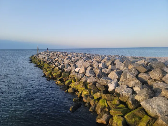 Cedar Beach Town Nature Preserve Picture 4