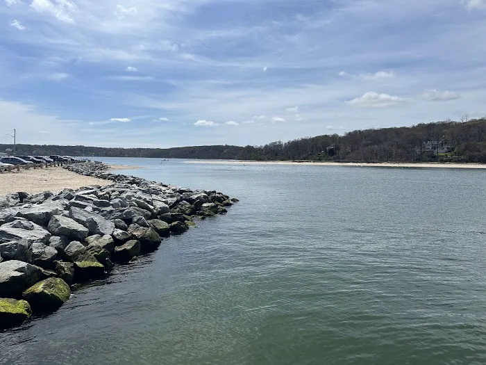 Cedar Beach Town Nature Preserve Picture 8