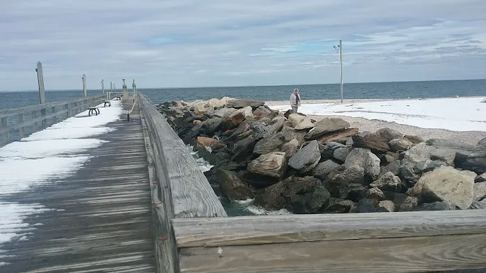 Cedar Beach Town Nature Preserve Picture 9