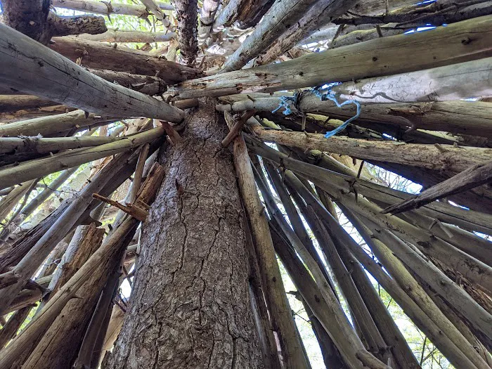 Prosser Pines Nature Preserve Picture 4