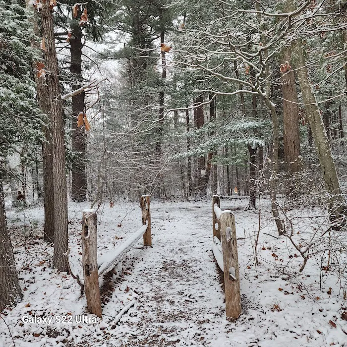 Prosser Pines Nature Preserve Picture 6