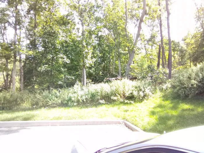 Oasis Park Picture 1
