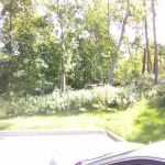 Oasis Park