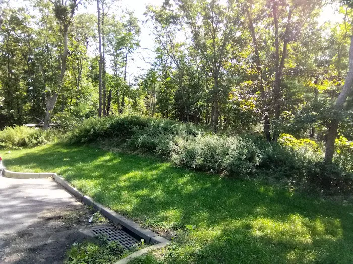 Oasis Park Picture 3