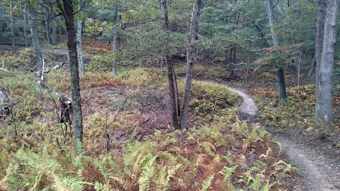 Rocky Point Mountain Bike Trail Picture 5