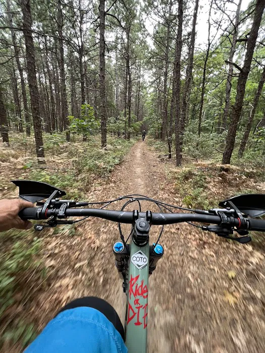 Rocky Point Mountain Bike Trail Picture 2