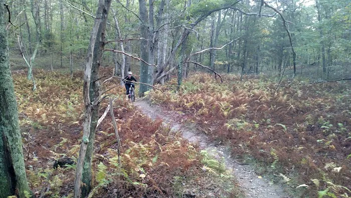 Rocky Point Mountain Bike Trail Picture 10