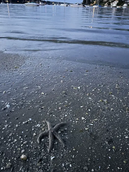 Gold Star Beach Park Picture 9