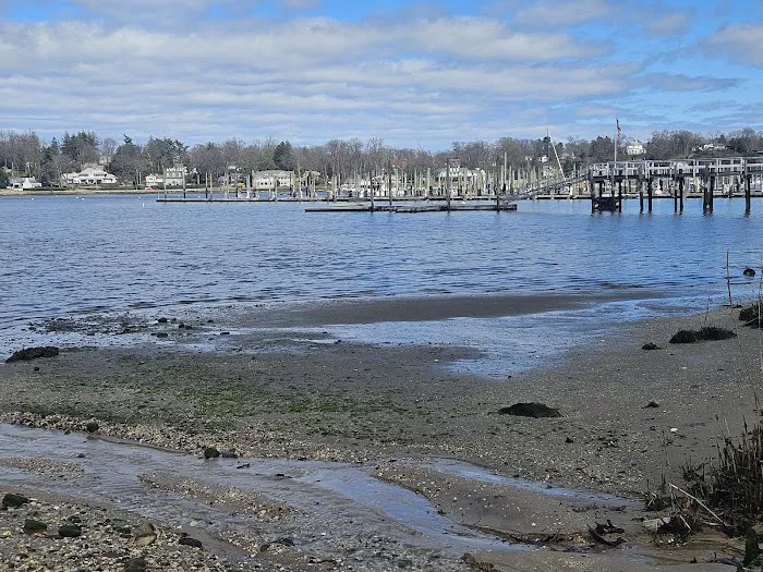 Gold Star Beach Park Picture 7