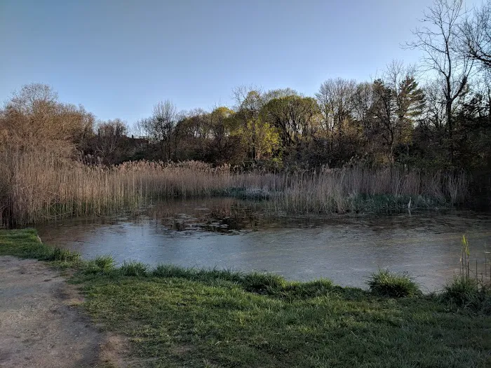 Gold Star Beach Park Picture 8
