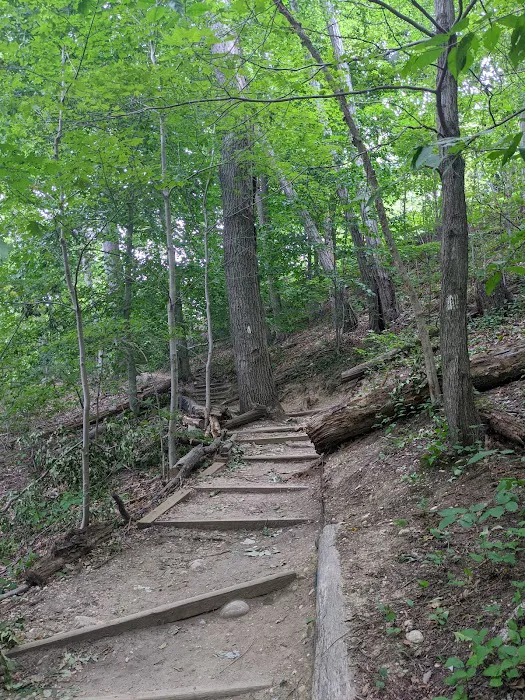 Nassau-Suffolk Trail Picture 2