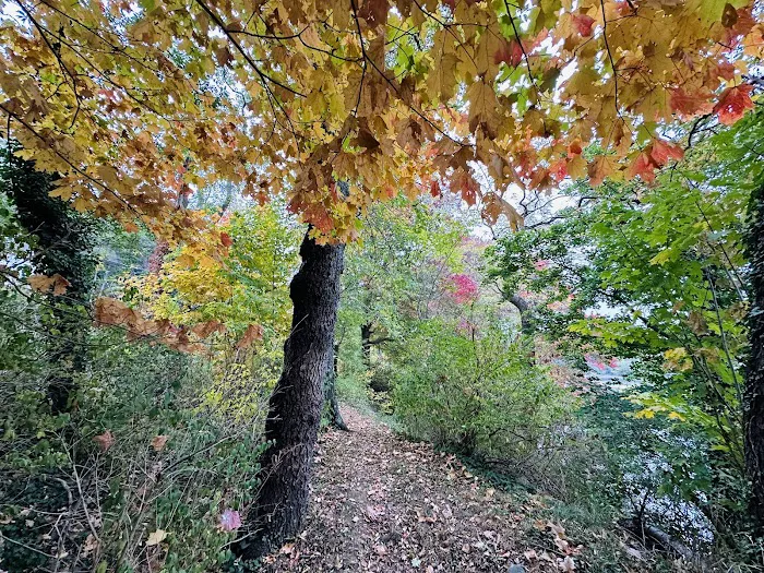 Nassau-Suffolk Trail Picture 5
