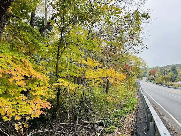 Nassau-Suffolk Trail Picture 4