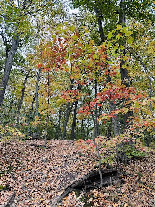 Nassau-Suffolk Trail Picture 8