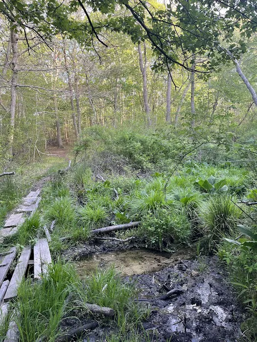 Hedges Creek County Park Picture 1