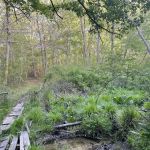 Hedges Creek County Park