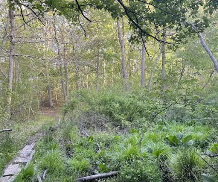 Hedges Creek County Park