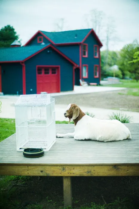 Mama Farm - B&B and Wedding Venue Picture 4