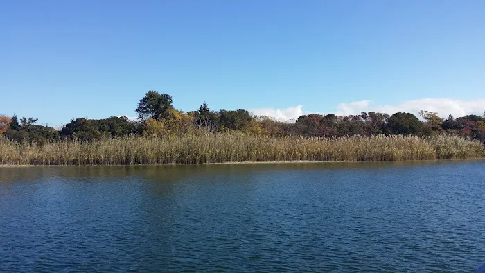 Fox Island Picture 1