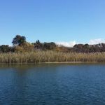 Fox Island