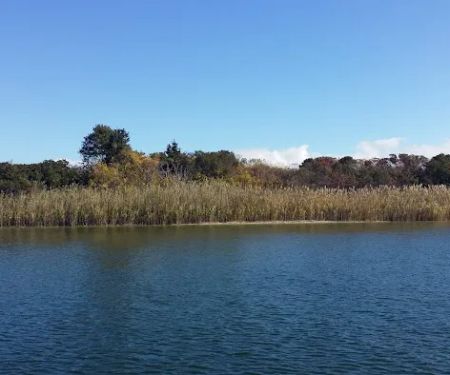 Fox Island