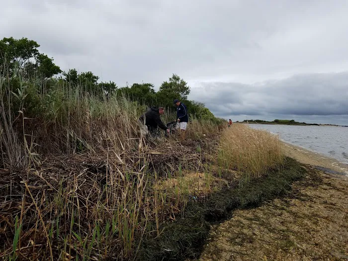 Fox Island Picture 4