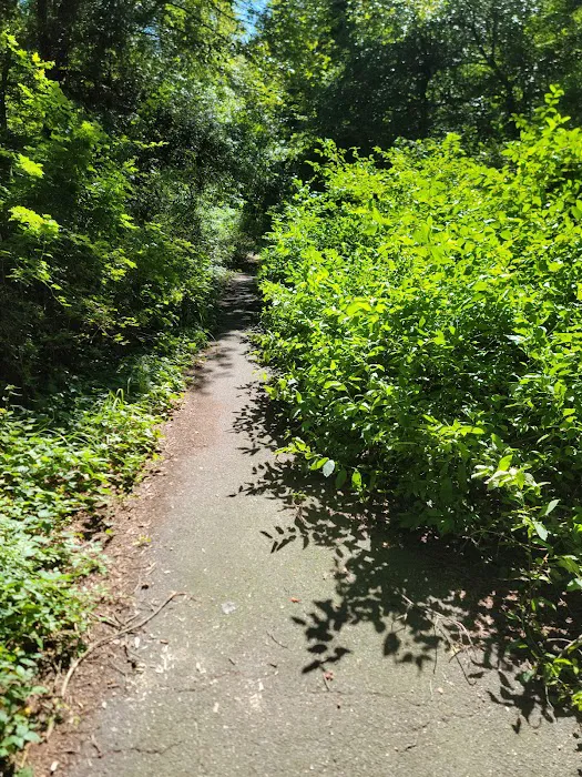 Massapequa Nature Preserve and Bethpage Bike Path Picture 2